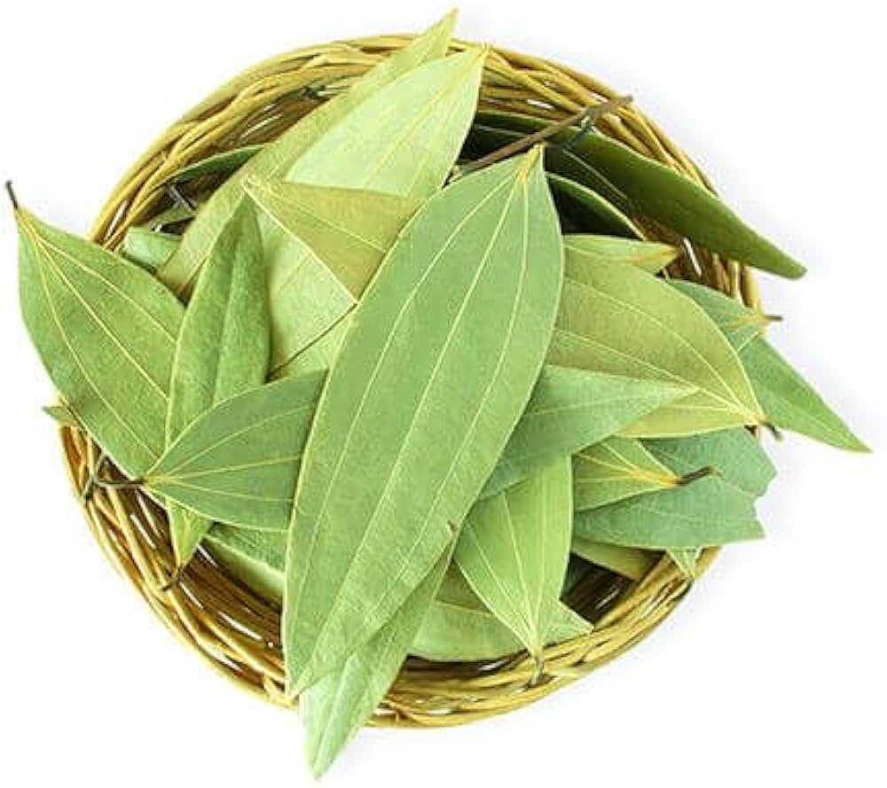 Tejpatta Plant (Indian Bay Leaf) – Aromatic Spice Plant
