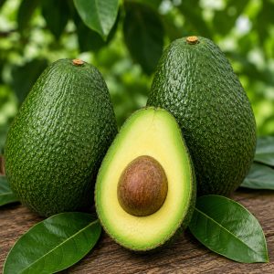 Hass Avocado Plant – Premium Creamy Buttery Rich Texture