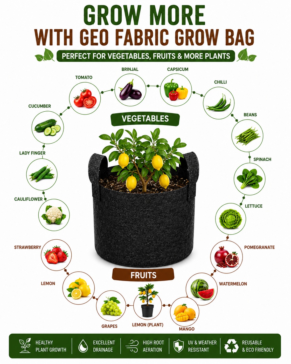Geo Fabric Grow Bag 10x10 – Premium Heavy Duty Grow Bag for Terrace Gardening 400 GSM