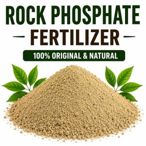 Rock Phosphate Organic Fertilizer – High Phosphorus Natural Root & Flower Booster