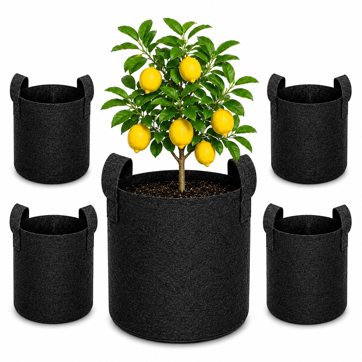 Geo Fabric Grow Bag 10x10 – Premium Heavy Duty Grow Bag for Terrace Gardening 400 GSM