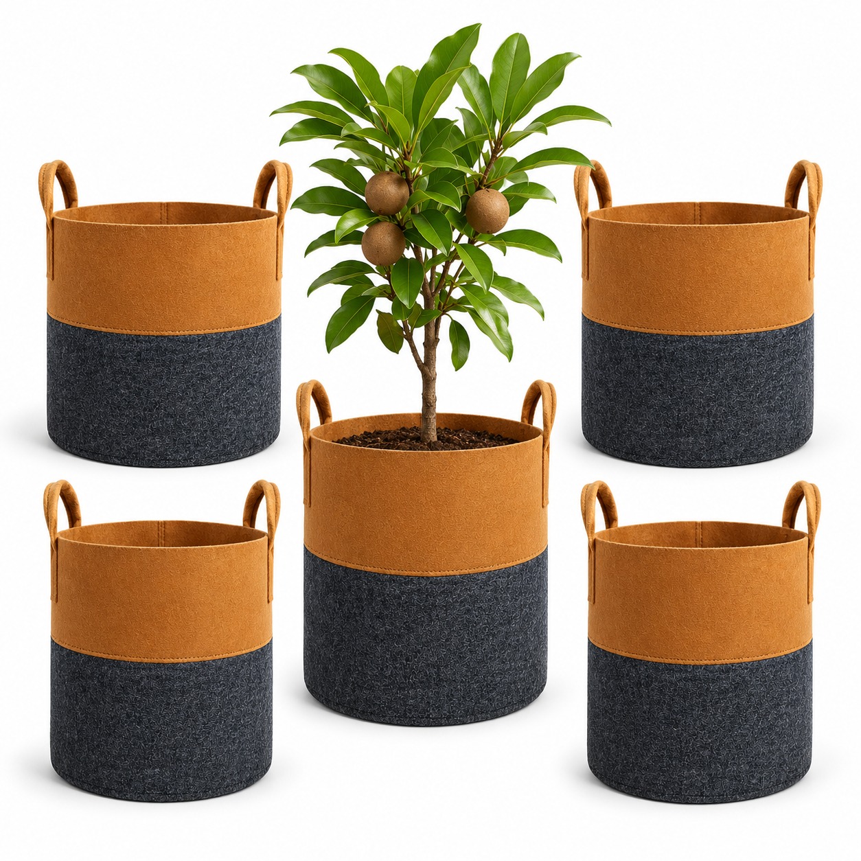 Dual Color Geo Fabric Grow Bag 12×12 Inch – Premium Heavy Duty Grow Bag for Terrace Gardening | 400 GSM