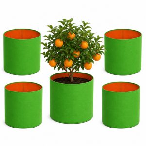 HDPE Grow Bag 12×12 Inch – Pack of 5 (260 GSM)