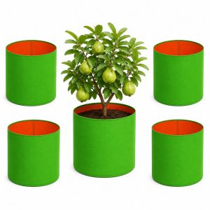 HDPE Grow Bag 9×9 Inch – Pack of 5 (260 GSM)