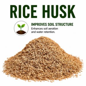 Rice Husk Soil Conditioner – Organic Soil Aerator & Drainage Improver