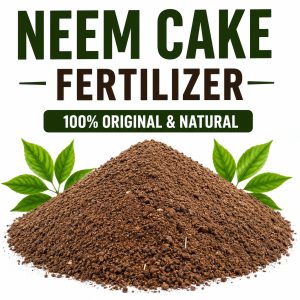 Neem Cake Organic Fertilizer – Natural Plant Growth Booster & Pest Control