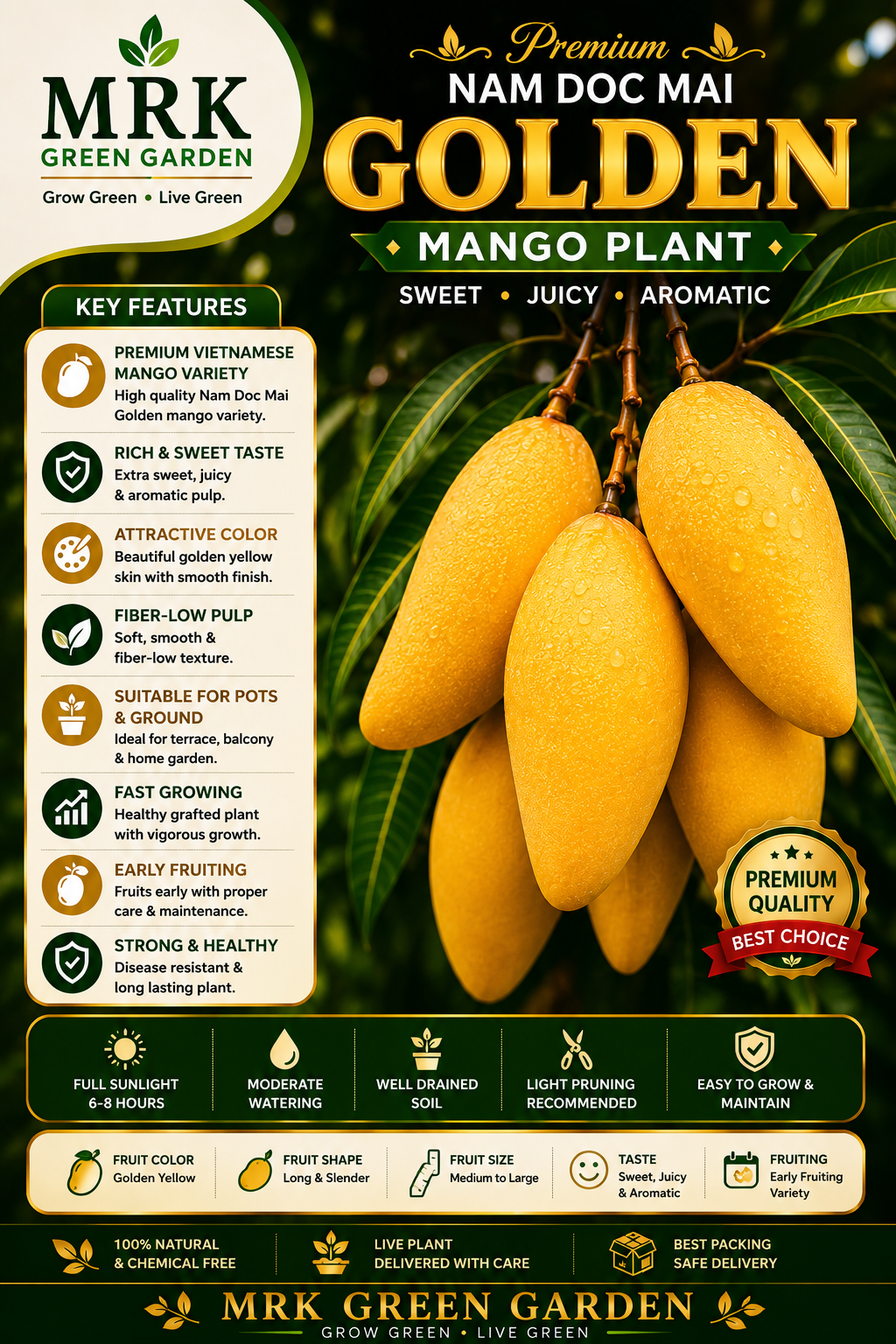 Nam Dok Mai Golden (Nam Dok Mai Si Thong) – Premium Thai Golden Mango Variety | Sweet Fiberless Mango