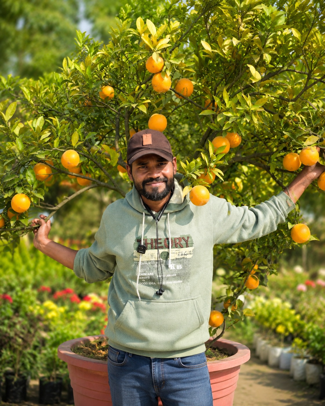 Hyderabadi Mosambi Plant – Premium Sweet Lime Citrus Variety for Terrace Gardening
