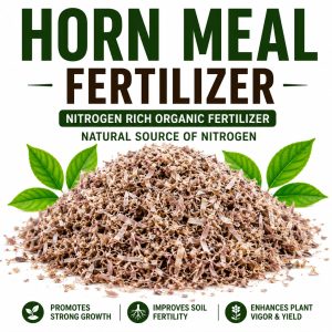 Horn Meal Organic Fertilizer – High Nitrogen Slow Release Plant Growth Booster