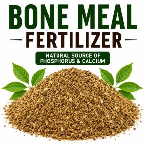 Bone Meal Organic Fertilizer – High Phosphorus Natural Plant Booster