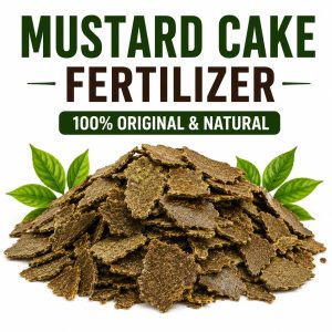 Mustard Cake (Sarso Khali) Organic Fertilizer – High Nitrogen Natural Plant Growth Booster