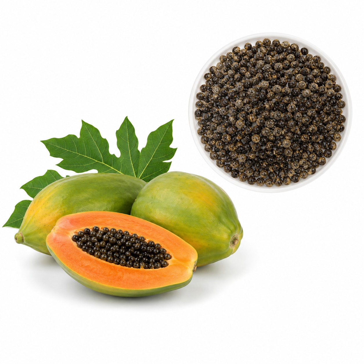 Red Lady Papaya Seeds – High Germination Hybrid Papaya Seeds for Home Gardening