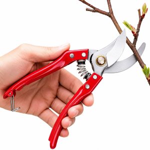 Garden Pruner (Plant Cutter) – Premium Heavy Duty Gardening Secateur