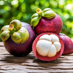 Mangosteen Grafted Plant | Garcinia mangostana | Queen of Fruits | Premium Tropical Fruit Plant