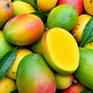 Carrie Mango Exotic Mango Plant | Premium Sweet & Fiberless Mango | Terrace Garden Special