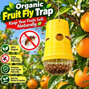 Organic Fruit Fly Trap for Plants | Natural Fruit Fly Control Trap | Reusable Insect Trap for Fruit Plants, Garden & Home